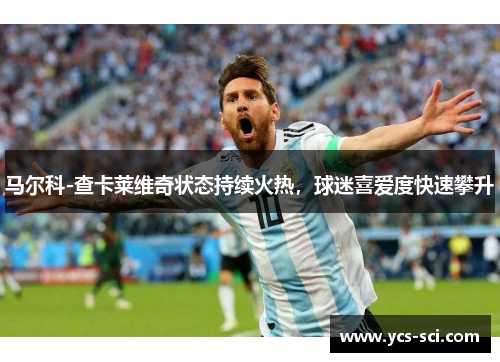 马尔科-查卡莱维奇状态持续火热，球迷喜爱度快速攀升