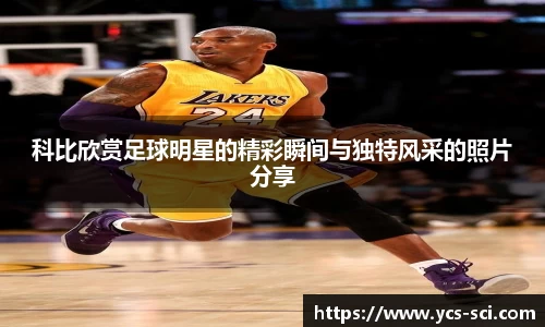 jbo竞博电竞官方网站